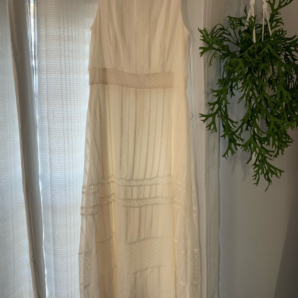Taylor Ivory Midi Dress Lace